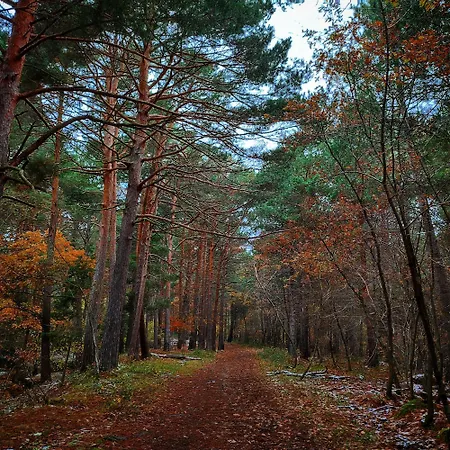 Prázdninový dům Casa Pradillo