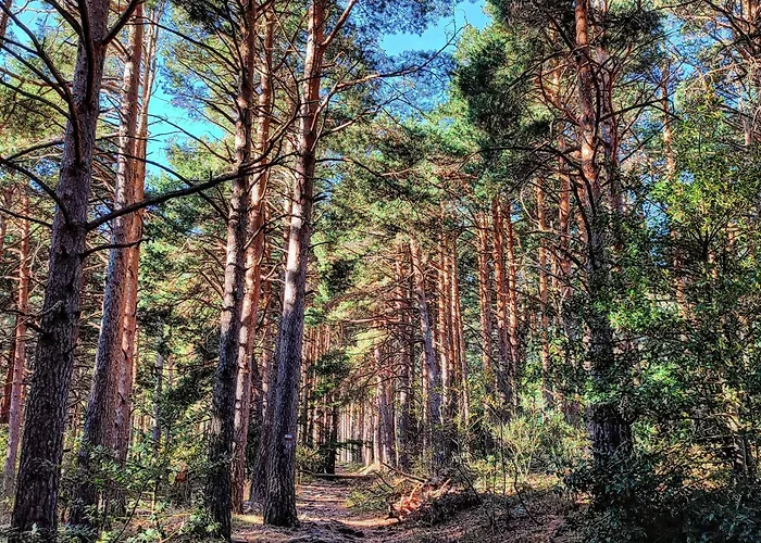 Casa Pradillo Anavieja