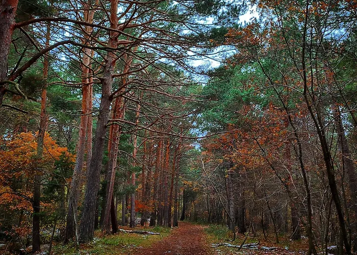 Сasa de vacaciones Casa Pradillo