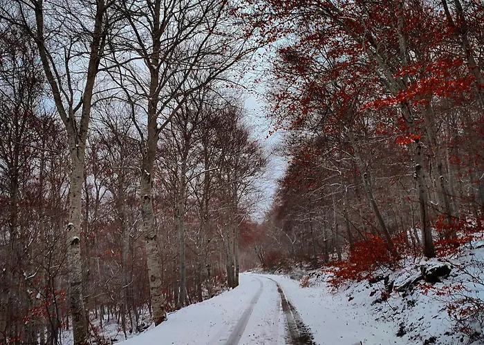 Casa Pradillo Anavieja